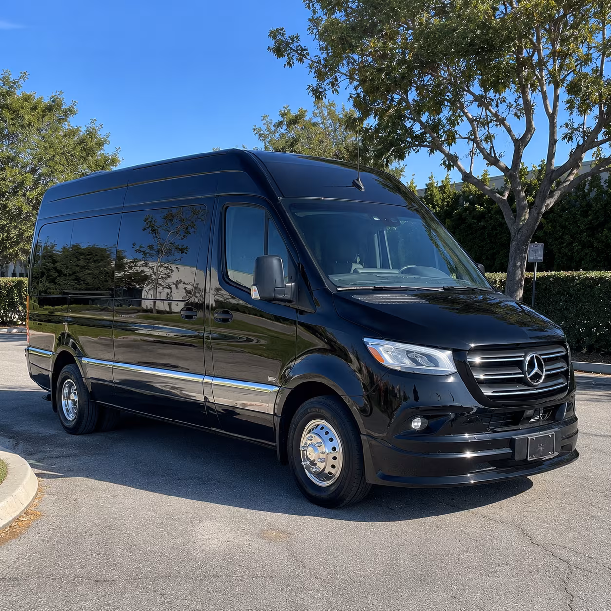 book the perfect ride for your next wedding 2